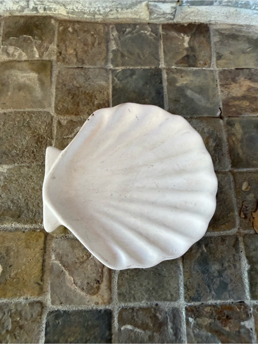 White Ceramic Seashell Dish